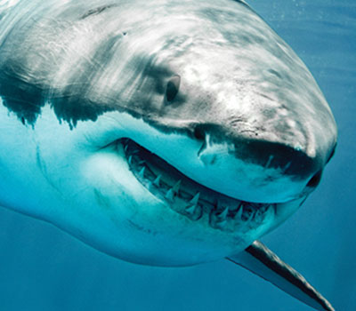 Arizona Science Center